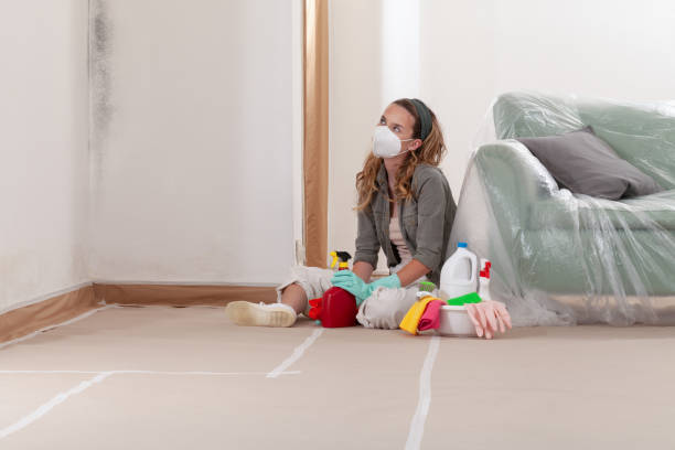 Reliable Basement Mold Remediation contractor in Norristown, PA by Mold Remediation HQ